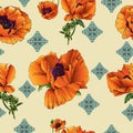 Summer light background with bright poppies. Royalty Free Stock Photo